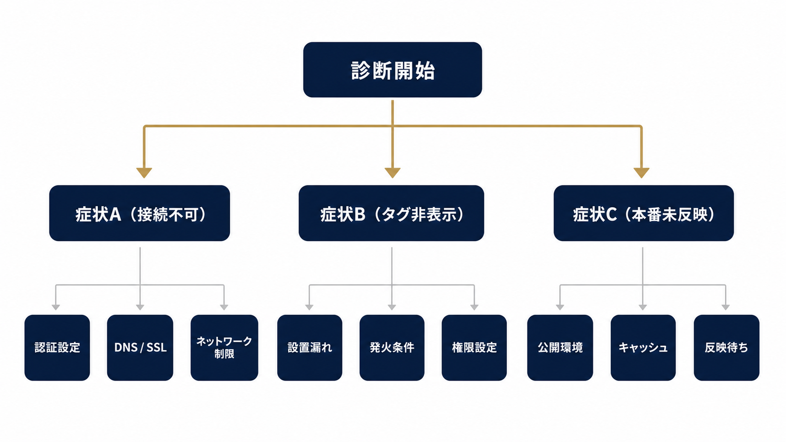 症状3分類：診断の入口を決める分岐図