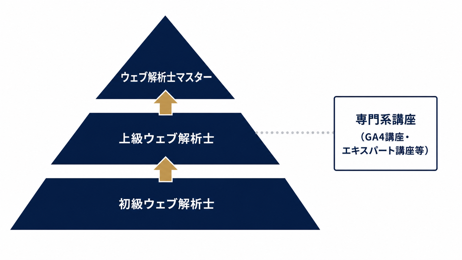 資格体系の階層構造を俯瞰する図