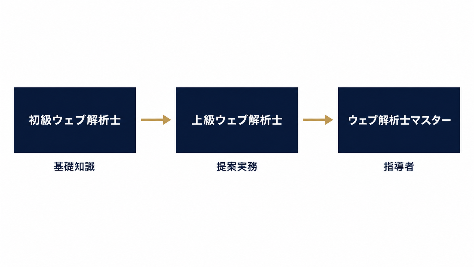 初級・上級・マスターの3階層ロードマップ