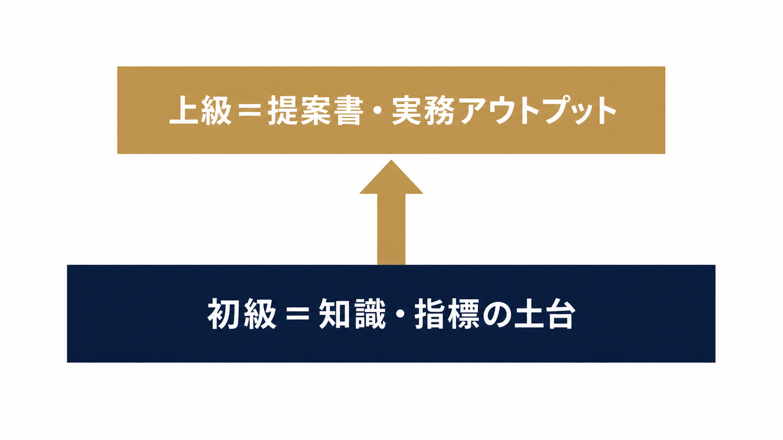 知識の土台と実務アウトプットの2層構造